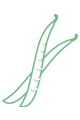 Mangetout
